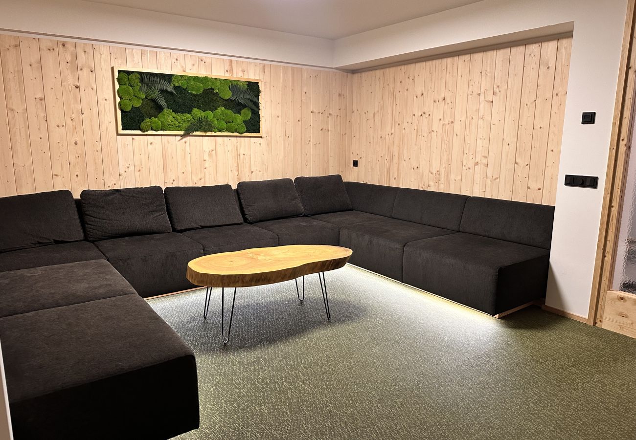 Villa in Vítkovice - Vitkovice LHM015