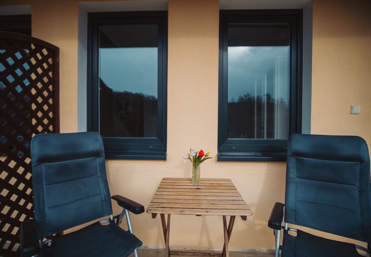 Villa in Staré Hobzí - SJL163 Jindřichův Hradec