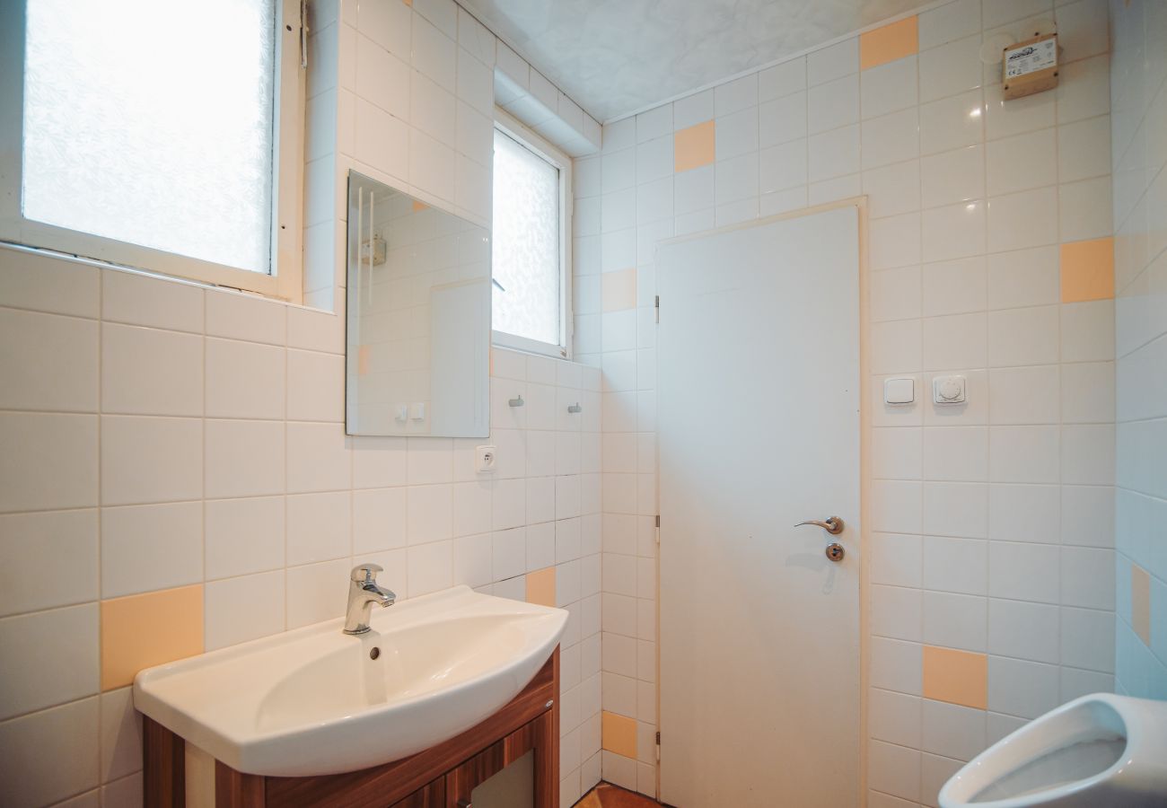 Villa in Staré Hobzí - SJL163 Jindřichův Hradec