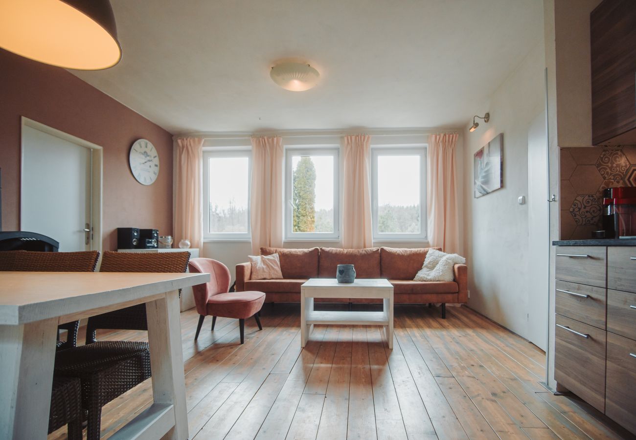 Villa in Staré Hobzí - SJL163 Jindřichův Hradec