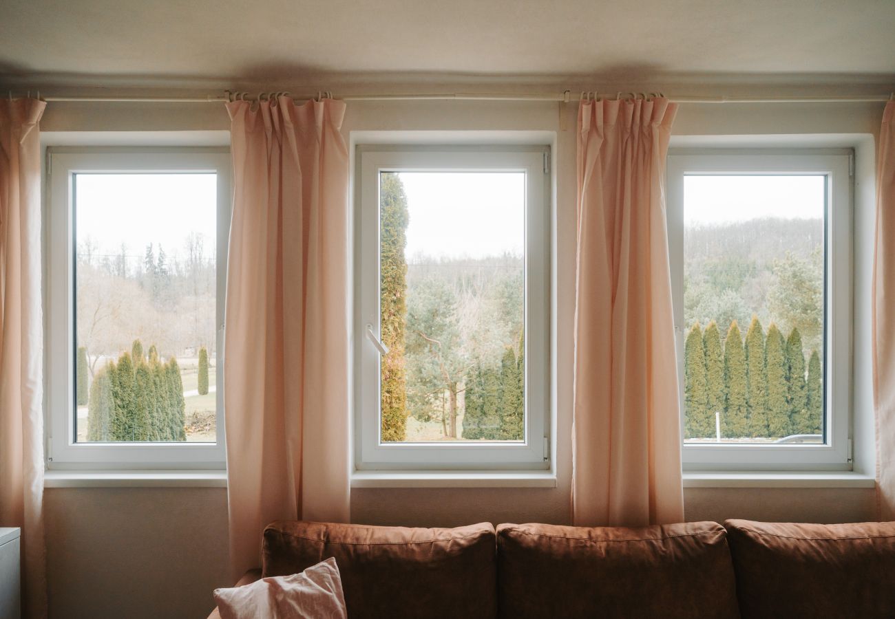 Villa in Staré Hobzí - SJL163 Jindřichův Hradec