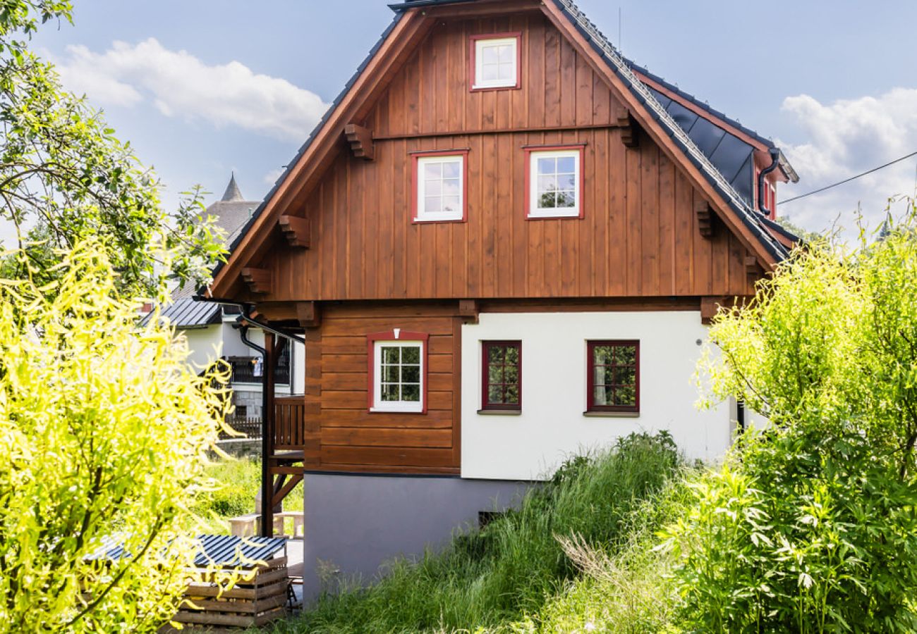 Villa in Branná - MBK171