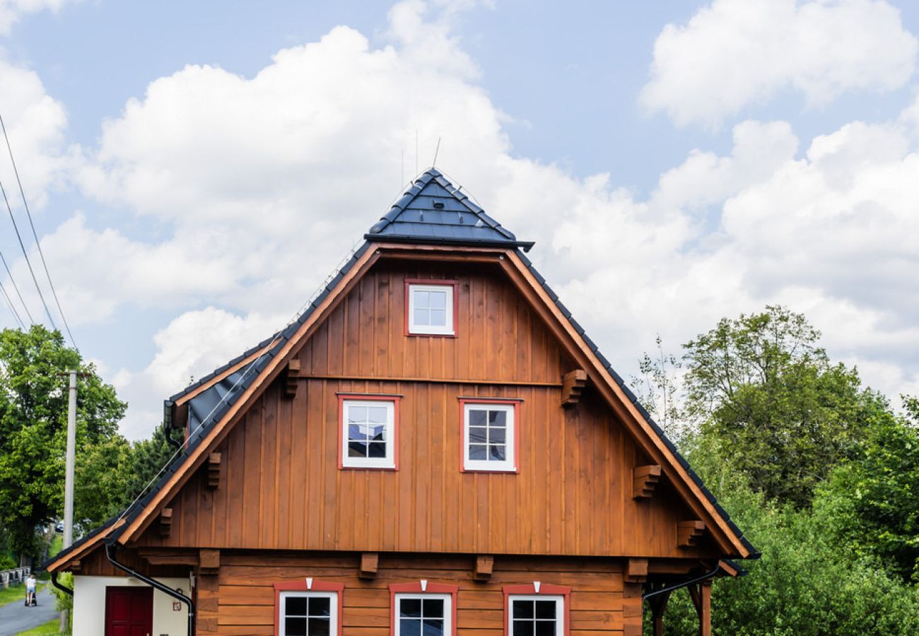 Villa in Branná - MBK171